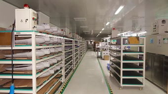 響應一帶一路倡議，燈具塑件企業積極拓展海外市場